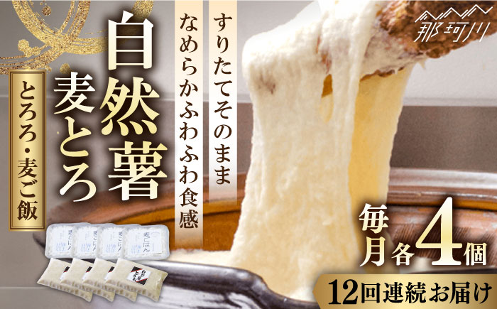 【全12回定期便】那珂川市産 自然薯 自然薯 麦とろ セット（4人前）＜自然薯王国＞那珂川市 [GAH011]