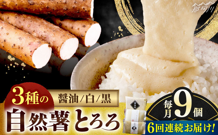 【全6回定期便】那珂川産 自然薯 とろろ 味くらべセット 計9個（3種類×3個）＜自然薯王国＞那珂川市 [GAH013]