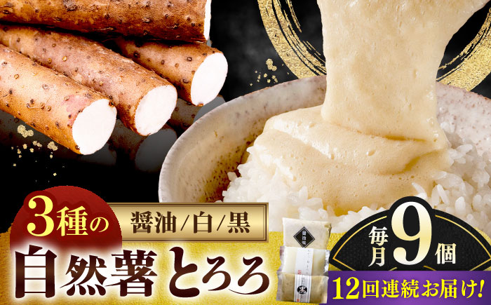 【全12回定期便】那珂川産 自然薯 とろろ 味くらべセット 計9個（3種類×3個）＜自然薯王国＞那珂川市 [GAH014]