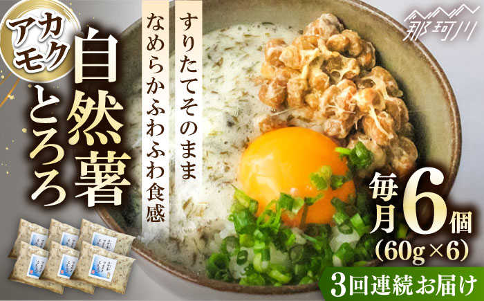 【全3回定期便】磯の風味が香るふわふわとろろ! 那珂川産 博多自然薯 アカモク とろろ 60g×6個＜自然薯王国＞那珂川市 [GAH018]