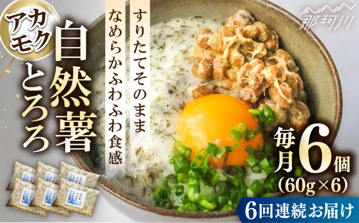 【全6回定期便】【磯の風味が香るふわふわとろろ】那珂川産 博多 自然薯 アカモク とろろ 60g×6個＜自然薯王国＞那珂川市 [GAH019]