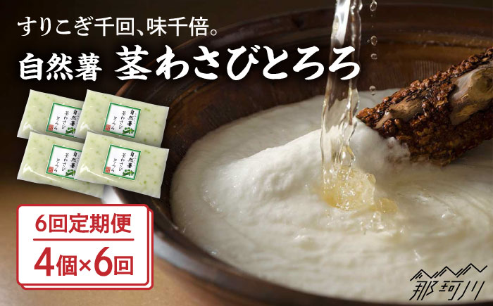 【全6回定期便】自然薯 茎わさびとろろ 40g×4個＜自然薯王国＞那珂川市 [GAH025]