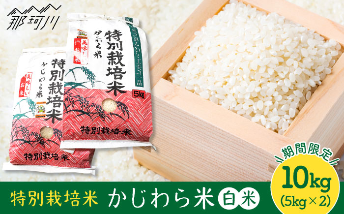 【9月中旬から発送】特別栽培米 かじわら米 新米 白米 米 計10kg（5kg×2）＜農事組合法人かじわら＞那珂川市 [GAI001]