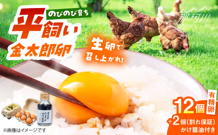 【TVで紹介！】【鮮度ＡＡ級の世界最高ランク！】金太郎卵 平飼い たまごかけごはん セット＜有限会社 フジノ香花園＞那珂川市 卵 タマゴ [GAM002]