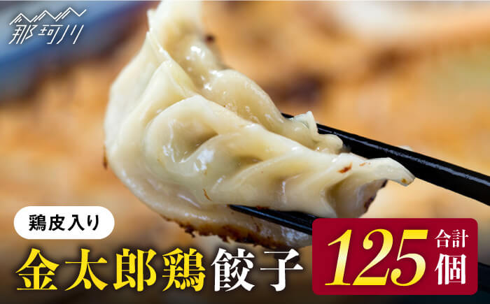 【平飼いで育った元気な鶏！】金太郎鶏 ぎょうざ（25個×5袋セット）＜有限会社 フジノ香花園＞那珂川市 [GAM005]