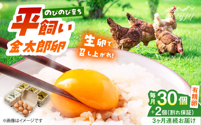 【全3回定期便】【TVで紹介！】鮮度ＡＡ級の世界最高ランク！金太郎卵 平飼い たまご 30個（6個×5パック）＜有限会社 フジノ香花園＞那珂川市 卵 タマゴ [GAM017]