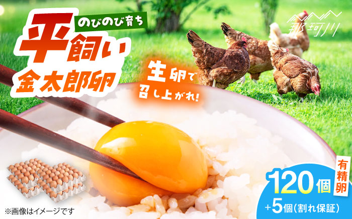 【TVで紹介！】【鮮度ＡＡ級の世界最高ランク！】金太郎卵 平飼い たまご まとめ買い120個（箱でお届け）＜有限会社フジノ香花園＞那珂川市 [GAM031]