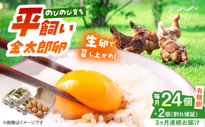 【3回定期便】【TVで紹介！】【鮮度ＡＡ級の世界最高ランク！】金太郎卵 平飼い たまご 24個（6個×4パック）＜有限会社フジノ香花園＞那珂川市 [GAM033]