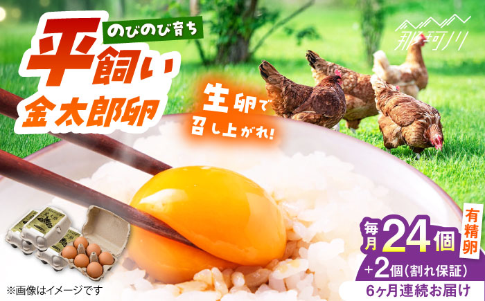 【6回定期便】【TVで紹介！】【鮮度ＡＡ級の世界最高ランク！】金太郎卵 平飼い たまご 24個（6個×4パック）＜有限会社フジノ香花園＞那珂川市 [GAM034]