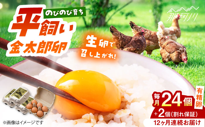 【12回定期便】【TVで紹介！】【鮮度ＡＡ級の世界最高ランク！】金太郎卵 平飼い たまご 24個（6個×4パック）＜有限会社フジノ香花園＞那珂川市 [GAM035]