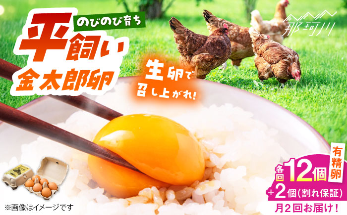 ＼月2回発送／【TVで紹介！】【鮮度ＡＡ級の世界最高ランク！】金太郎卵 平飼い たまご 計24個(12個×月2回)＜有限会社フジノ香花園＞那珂川市 [GAM036]