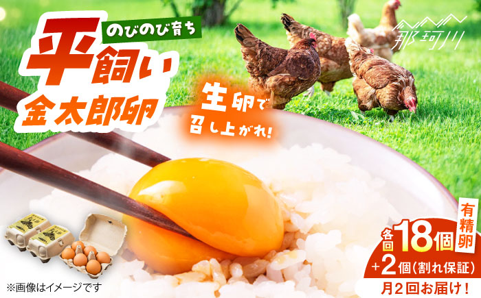 ＼月2回発送／【TVで紹介！】【鮮度ＡＡ級の世界最高ランク！】金太郎卵 平飼い たまご 計36個(18個×月2回)＜有限会社フジノ香花園＞那珂川市 [GAM037]