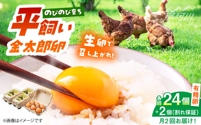 ＼月2回発送／【TVで紹介！】【鮮度ＡＡ級の世界最高ランク！】金太郎卵 平飼い たまご 計48個(24個×月2回)＜有限会社フジノ香花園＞那珂川市 [GAM038]