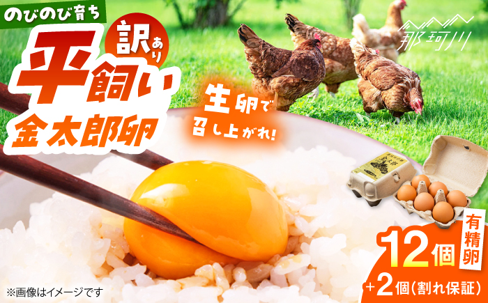 ＼訳あり／【TVで紹介！】【鮮度ＡＡ級の世界最高ランク！】金太郎卵 平飼い たまご 12個（6個×2パック）＜有限会社フジノ香花園＞那珂川市 [GAM039]