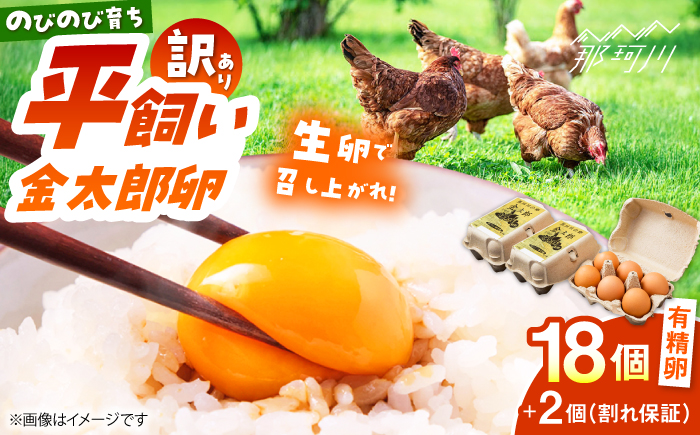 ＼訳あり／【TVで紹介！】【鮮度ＡＡ級の世界最高ランク！】金太郎卵 平飼い たまご 18個（6個×3パック）＜有限会社フジノ香花園＞那珂川市 [GAM040]