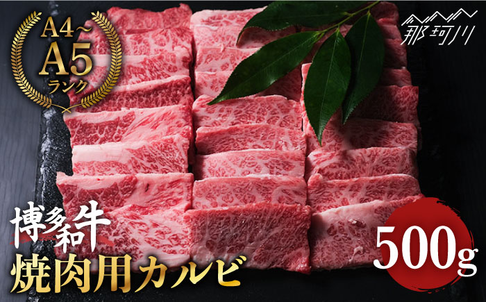 博多和牛 牛肉 焼肉 バラ （カルビ） 500g ＜肉のくまもと屋＞ 那珂川市 [GBI012]