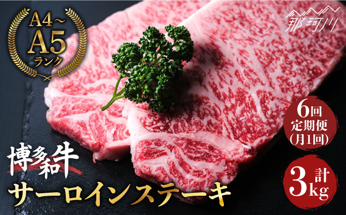 【全6回定期便】大満足！ 博多和牛 牛肉 サーロイン ステーキ 500g（250g×2）＜肉のくまもと屋＞ 那珂川市 [GBI034]