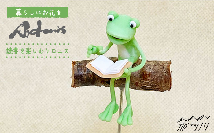 【暮らしにお花を】読書を楽しむケロニス＜フラワーデザイン・アドニス＞那珂川市 雑貨 インテリア [GBN006]