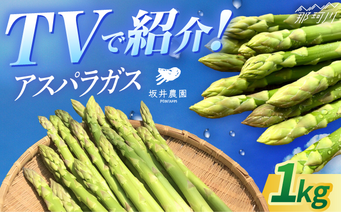 TVでも紹介！サイズが豊富で食卓楽しい！ アスパラガス 1kg＜坂井農園＞那珂川市 野菜 [GBP001]