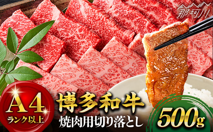 【和牛の旨味を堪能！】博多和牛 焼肉用 500g＜株式会社MEAT PLUS＞那珂川市 肉 牛肉 黒毛和牛 [GBW003]