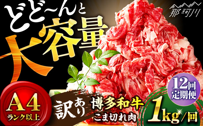 【全12回定期便】【たっぷり大容量！】博多和牛 切り落とし 1000g（500g×2P）＜株式会社MEAT PLUS＞那珂川市 肉 牛肉 黒毛和牛 牛切り落とし [GBW015]