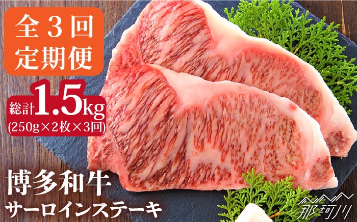 【全3回定期便】【溢れる肉汁と濃厚な旨味】博多和牛 サーロイン ステーキセット 500g（250g×2枚）＜株式会社MEAT PLUS＞那珂川市 肉 牛肉 黒毛和牛 [GBW016]