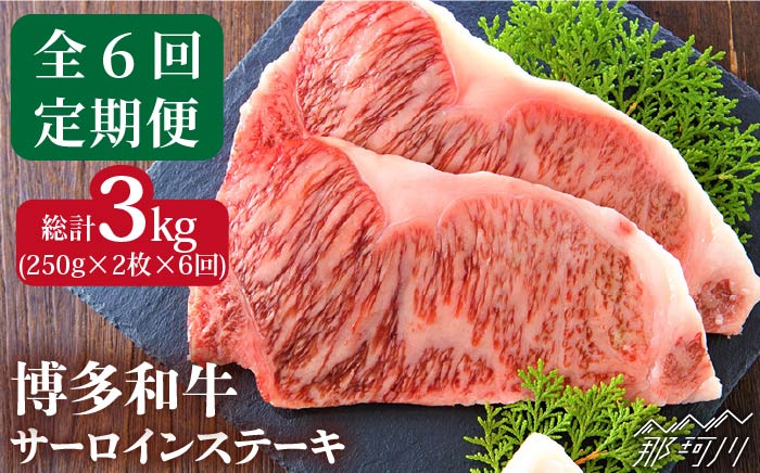【全6回定期便】【溢れる肉汁と濃厚な旨味】博多和牛 サーロイン ステーキセット 500g（250g×2枚）＜株式会社MEAT PLUS＞那珂川市 肉 牛肉 黒毛和牛 [GBW017]