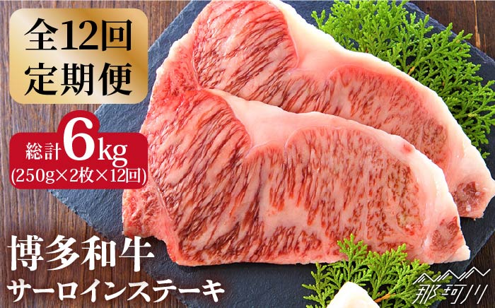 【全12回定期便】【溢れる肉汁と濃厚な旨味】博多和牛 サーロイン ステーキセット 500g（250g×2枚）＜株式会社MEAT PLUS＞那珂川市 肉 牛肉 黒毛和牛 [GBW018]