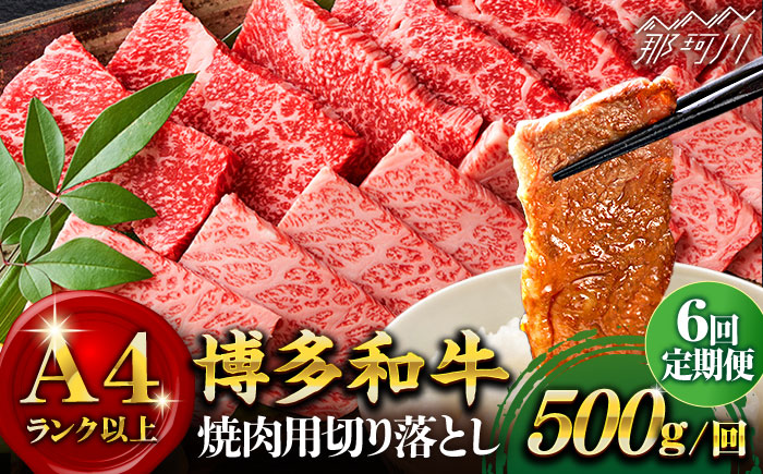 【全6回定期便】【和牛の旨味を堪能！】博多和牛焼肉用 500g＜株式会社MEAT PLUS＞那珂川市 肉 牛肉 黒毛和牛 [GBW020]