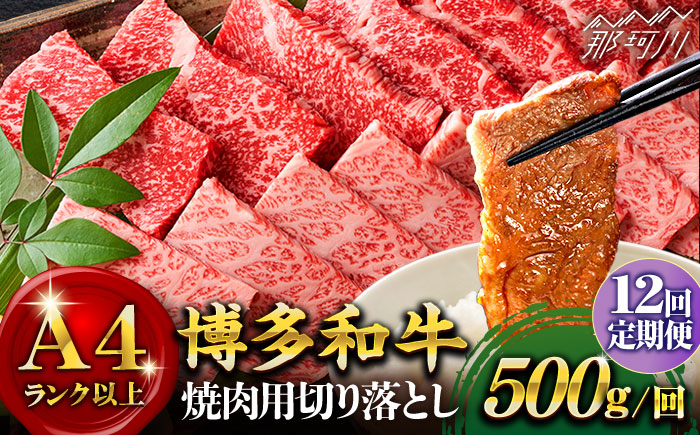 【全12回定期便】【和牛の旨味を堪能！】博多和牛焼肉用 500g＜株式会社MEAT PLUS＞那珂川市 肉 牛肉 黒毛和牛 [GBW021]