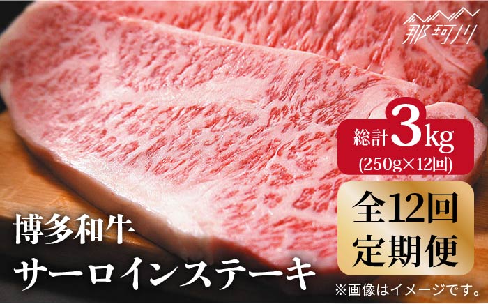 【全12回定期便】【A4ランク以上！】博多和牛 サーロイン ステーキ250g×1枚＜株式会社MEAT PLUS＞那珂川市 肉 牛肉 黒毛和牛 [GBW033]