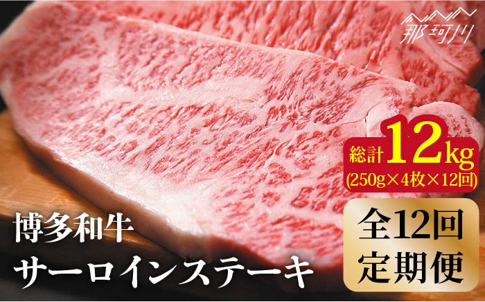 【全12回定期便】【溢れる肉汁と濃厚な旨味】博多和牛 サーロイン 1kg（250g×4枚）＜株式会社MEAT PLUS＞那珂川市 肉 牛肉 黒毛和牛 [GBW039]