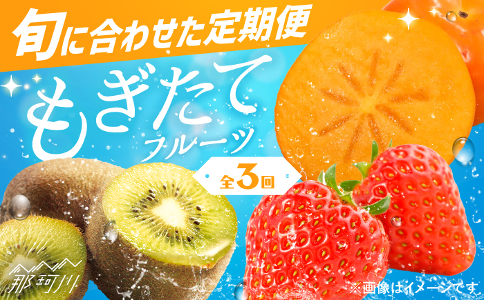 【全3回定期便】九州・福岡もぎたて フルーツ定期便 B＜一般社団法人地域商社ふるさぽ＞那珂川市 フルーツセット [GBX022]