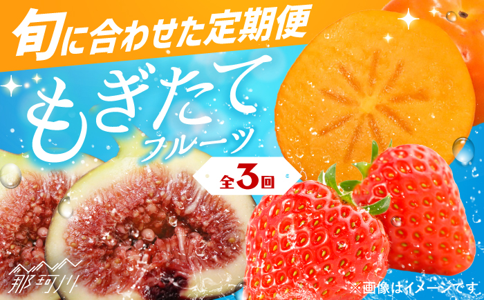 【全3回定期便】九州・福岡もぎたて フルーツ定期便 C＜一般社団法人地域商社ふるさぽ＞那珂川市 フルーツセット [GBX023]