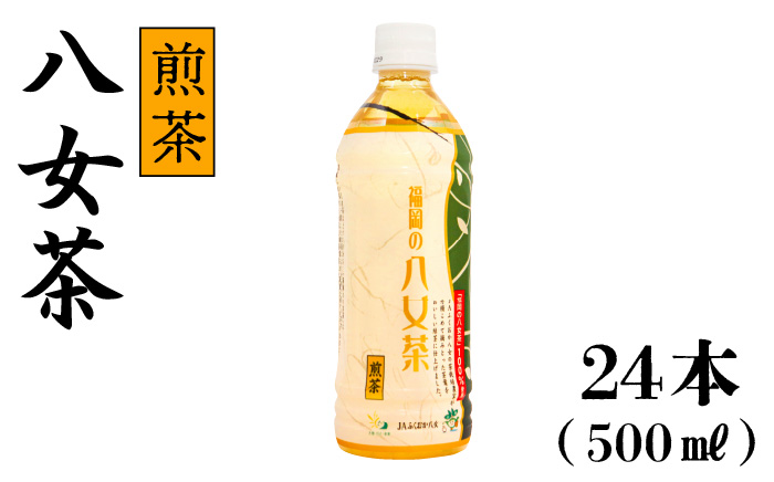 福岡の八女茶 煎茶 500ml×24本入り＜一般社団法人地域商社ふるさぽ＞那珂川市 飲料 お茶 茶 [GBX033]