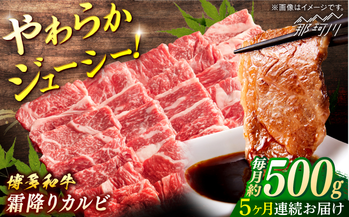 【全5回定期便】博多和牛　霜降りカルビ　約500ｇ×5回＜一般社団法人地域商社ふるさぽ＞ 那珂川市 [GBX121]