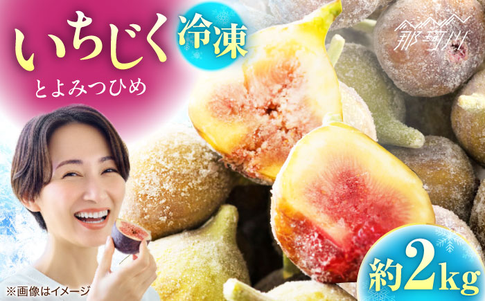 冷凍いちじく（とよみつひめ）約２kg＜一般社団法人地域商社ふるさぽ＞ 那珂川市 [GBX253]