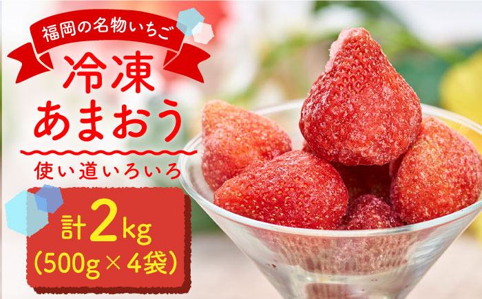 【2026年4月以降発送】先行予約！福岡産 冷凍 あまおう 2kg（500g×4袋）＜南国フルーツ株式会社＞那珂川市 [GCD006]