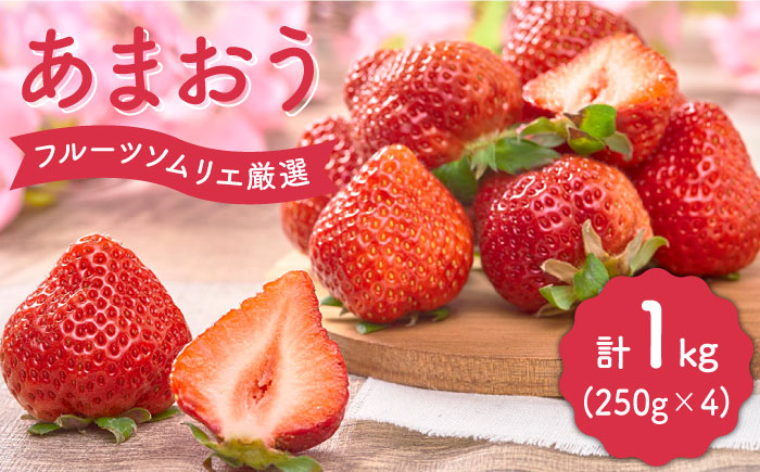 【2月上旬より発送】先行予約！福岡産【春】あまおう 4パック＜南国フルーツ株式会社＞那珂川市 [GCD008]