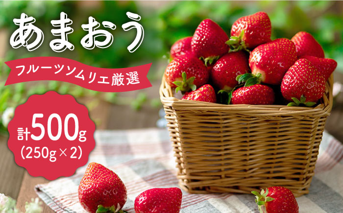 【12月上旬より発送】先行予約！福岡産【冬】 あまおう 2パック＜南国フルーツ株式会社＞那珂川市 [GCD011]