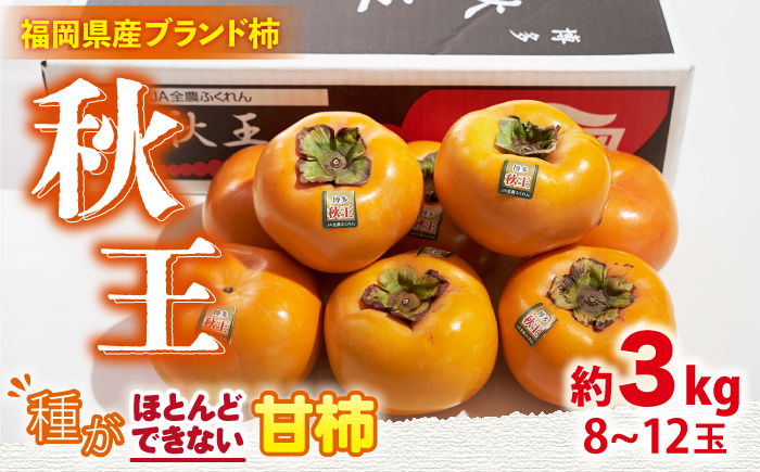 【10月中旬より発送】先行予約 福岡産ブランド 柿 秋王 約3kg（8-12玉）＜南国フルーツ株式会社＞那珂川市 [GCD022]