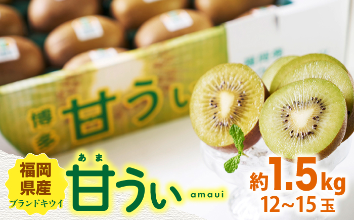 【10月下旬より発送】先行予約 福岡産ブランド キウイ 甘うぃ 約1.5kg（12-15玉）＜南国フルーツ株式会社＞那珂川市 [GCD025]