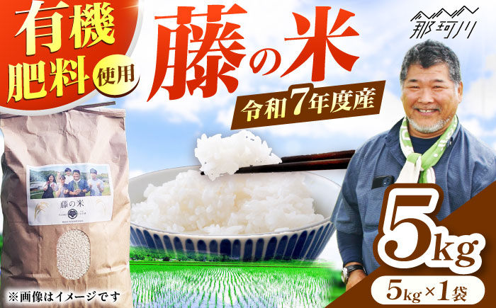 【10営業日以内に発送！】令和7年度産 藤の米(ふじのまい) 5kg ＜フジノ農園＞那珂川市 [GCO003]