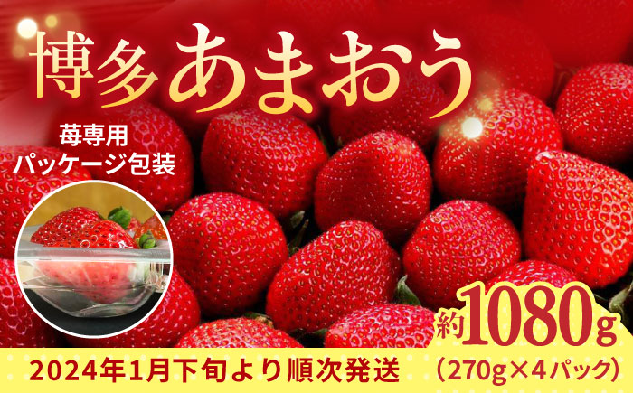【2026年2月上旬より発送】先行予約！農家直送 朝採り新鮮いちご【博多あまおう】約270g×4＜株式会社H&Futures＞那珂川市 あまおう [GDS004]