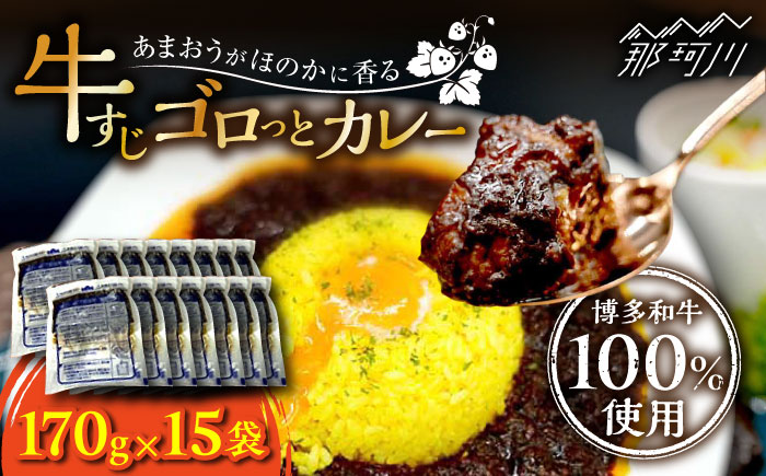 【博多和牛100％使用!】あまおうがほのかに香る 牛すじゴロっとカレー（170g×15袋）＜株式会社natural factory＞那珂川市 [GEA014]