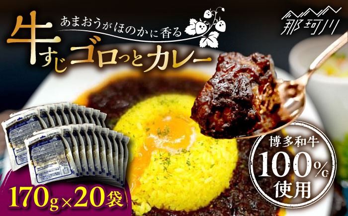【博多和牛100％使用!】あまおうがほのかに香る 牛すじゴロっとカレー（170g×20袋）＜株式会社natural factory＞那珂川市 [GEA015]