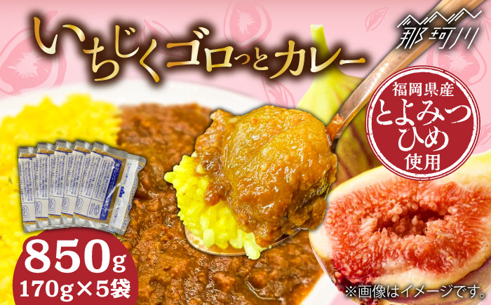 福岡県産「博多とよみつひめ」を丸ごと使用！！いちじくゴロっとカレー（170g×5袋）＜株式会社natural factory＞那珂川市 [GEA071]