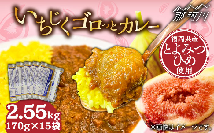 福岡県産「博多とよみつひめ」を丸ごと使用！！いちじくゴロっとカレー（170g×15袋）＜株式会社natural factory＞那珂川市 [GEA073]