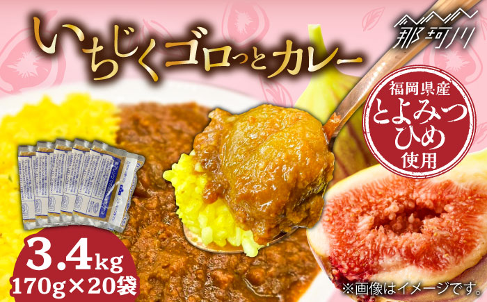 福岡県産「博多とよみつひめ」を丸ごと使用！！いちじくゴロっとカレー（170g×20袋）＜株式会社natural factory＞那珂川市 [GEA074]