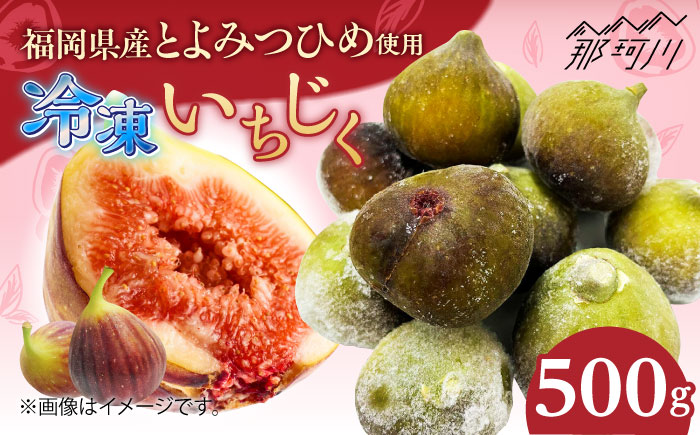 福岡県産「博多とよみつひめ」冷凍いちじく！500g×1袋＜株式会社natural factory＞那珂川市 フルーツ とよみつひめ [GEA079]